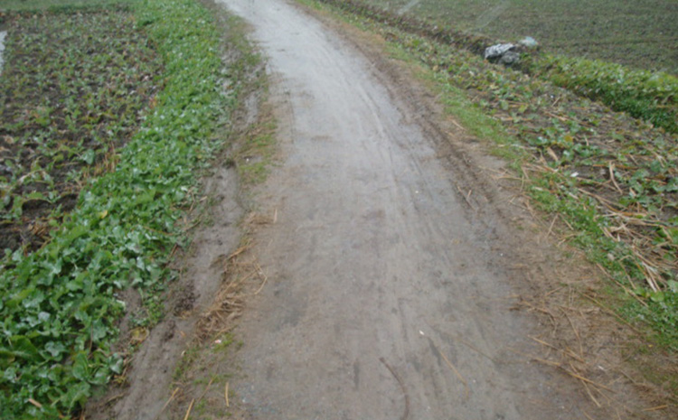 農村道路.jpg